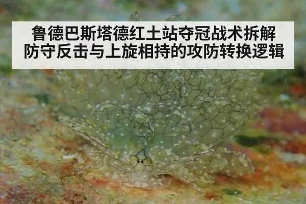鲁德巴斯塔德红土站夺冠战术拆解 防守反击与上旋相持的攻防转换逻辑